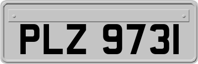 PLZ9731