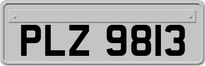 PLZ9813