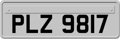 PLZ9817