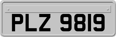 PLZ9819