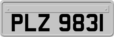 PLZ9831