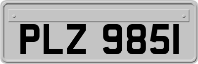 PLZ9851