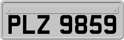 PLZ9859