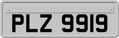 PLZ9919