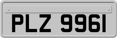 PLZ9961