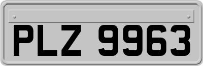 PLZ9963