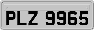 PLZ9965