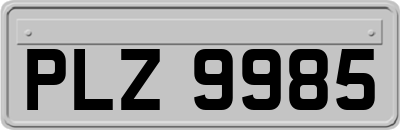 PLZ9985