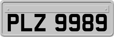 PLZ9989