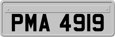 PMA4919