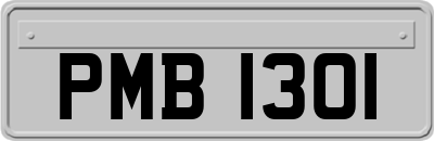 PMB1301