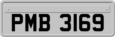 PMB3169