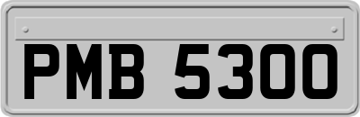 PMB5300