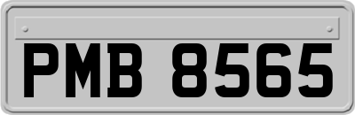 PMB8565