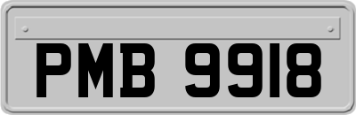 PMB9918