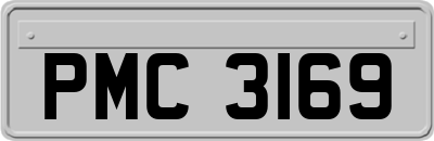 PMC3169