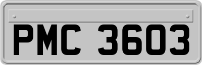 PMC3603