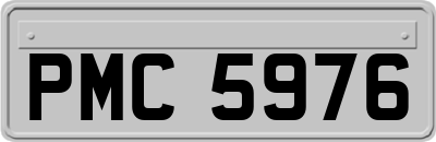 PMC5976