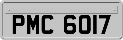 PMC6017