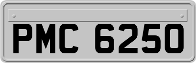 PMC6250