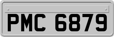 PMC6879