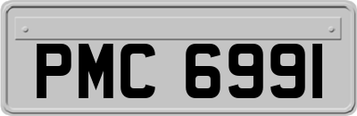 PMC6991