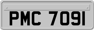 PMC7091