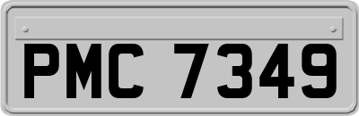 PMC7349