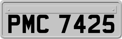 PMC7425