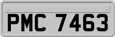PMC7463
