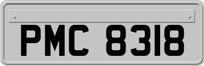 PMC8318