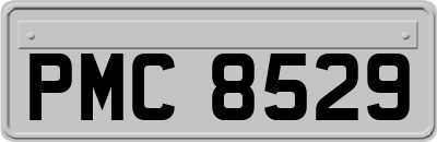 PMC8529