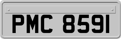 PMC8591