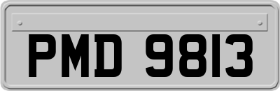 PMD9813