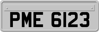 PME6123