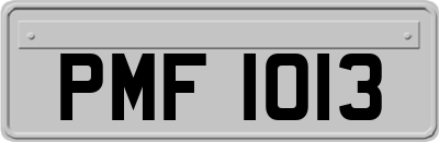 PMF1013
