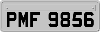 PMF9856
