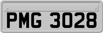 PMG3028