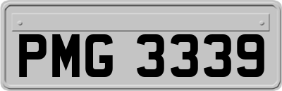 PMG3339