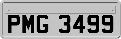 PMG3499