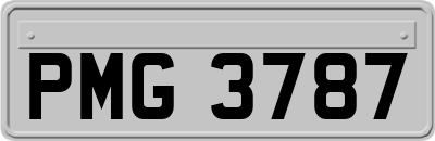 PMG3787