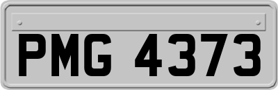 PMG4373