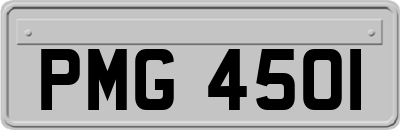 PMG4501