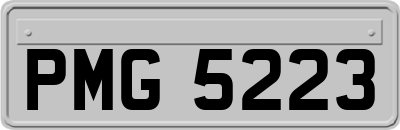 PMG5223