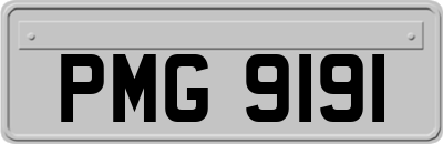 PMG9191