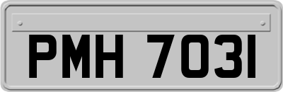 PMH7031