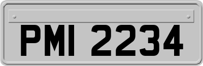PMI2234