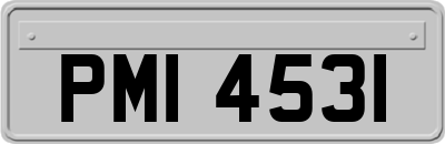PMI4531