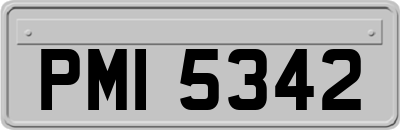 PMI5342