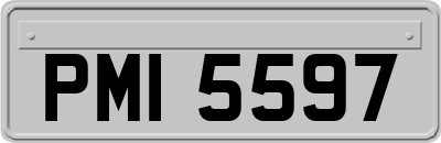 PMI5597